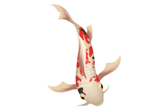 Aquarium Koi: Decorative Water Fish Art