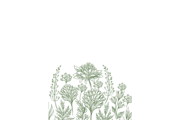 Choosing the Right Aesthetic: Hand Drawn Flower Card and Decorative Vintage Botany for Your Projects