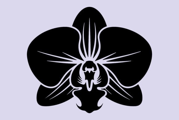 Elevating Design Workflows with a Decorative Orchid Flower Silhouette