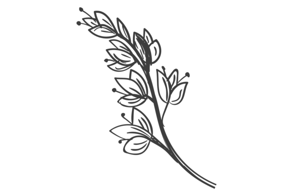 Evaluating the Decorative Botany Branch with Blooming F for Design and Print Projects