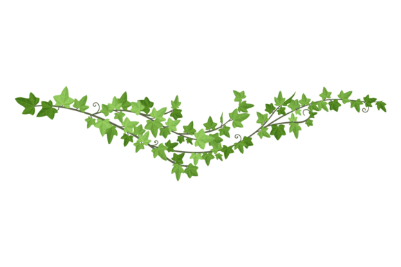 Evaluating the Liana Green Border: A Decorative Ivy Horizontal Divider