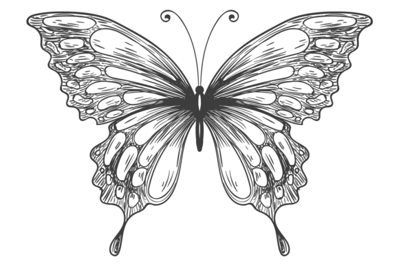 Integrating Romantic Butterfly Engraving Decorative Assets into Professional Design Workflows